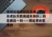  排球巡回赛掀起高潮，荆楚白虎队大胜吴越天狼队，战至最后一刻——赛后更衣室沸腾